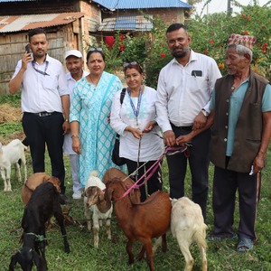 बिर्तामोड २ का १५ जना कृषकलाई बाख्रा वितरण