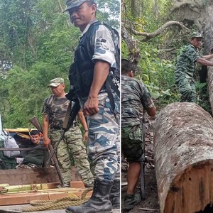 अर्जुनधारा–४ दहिझोडाबाट १२ लाख २५ हजारको काठ बरामद  