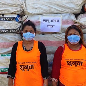  गाँजा ओसार पसारमा संलग्न २ जना महिला पक्राउ