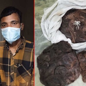 टेलिकमको तामाको तार चोरी गर्ने २ जना भारतीय नागरिक मेचीनगरबाट पक्राउ 