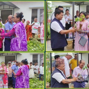 हल्दीबारीमा निःशुल्क आँप र लिचीका विरुवा वितरण हुँदै  (भिडियोसहित) 