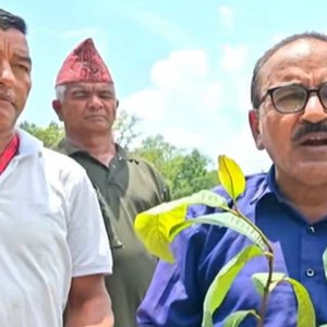 दहिझोडा सामुदायिक बनले यस बर्ष २ हजार ५०० वृक्षारोपन गर्ने  