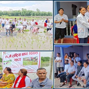 अर्जुनधारा नगरले यसरी मनायो २२ औं राष्ट्रिय धान दिवस (भिडियोसहित) 
