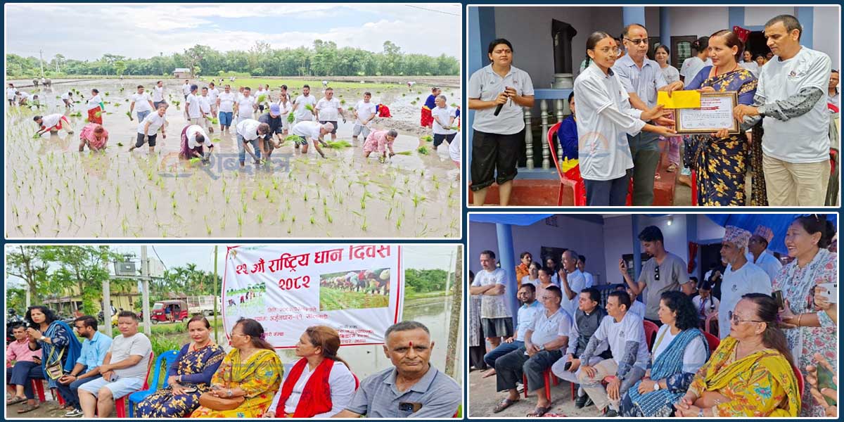 dhan diwas