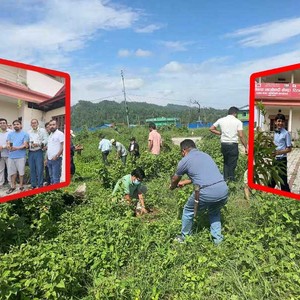 दमकले फोहोर फालेर उजाड बनाएको वनमा माओवादीको वृक्षारोपण