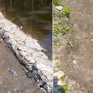 अर्जुनधारा–११ दिमदिमे पोखरीमा डुवेर दुई जना बालकको मृत्यु 
