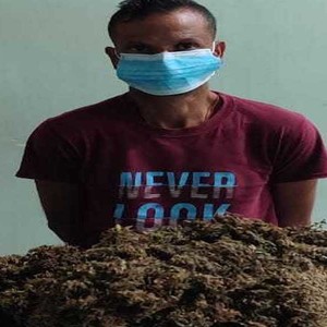 गाँजासहित झापाबाट न्यौपाने पक्राउ 