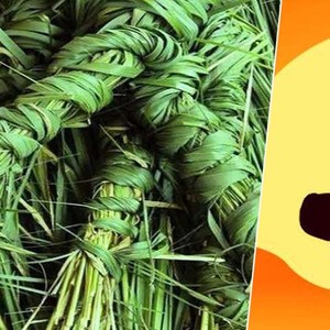 आज कुशेऔँसी र बाबुको मुख हेर्ने दिन  