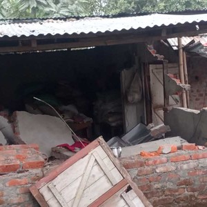 जंगली हात्तीले घर भत्काउँदा ४ लाख बढीको क्षति