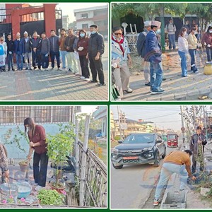 अन्तरराष्ट्रिय स्वयंसेवक दिवसमा बिर्ताबजार सडक आसपासका बोटबिरुवामा रंगरोगन (भिडियोसहित) 