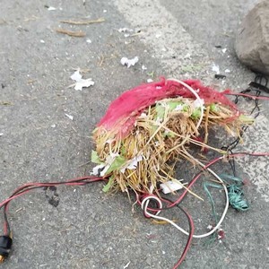 कनकाई पुलमा पराल राखेर बमको आतंक कनकाई पुलमा पराल राखेर बमको आतंक