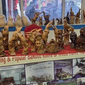 बिर्तामोडमा सुरु भएको कोशी–बङ्गाल पर्यटन उत्सवमा यस्ता छन् आकर्षण 