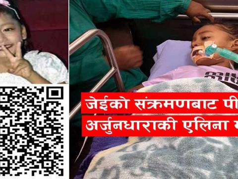 जेईबाट पीडित बालीका एलिनाको उपचार्थ अभियान सुरु